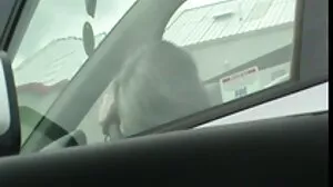 Akcja na pieska z uwodzicielską Marie Jade z True Anal sex polskie filmy