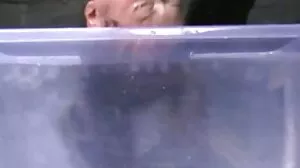 Palcujący seks z seksowną Liyą Silver z sex darmowe filmy polskie Reality Kings