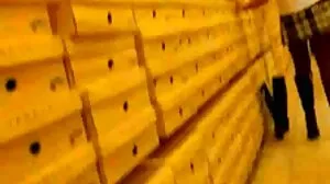 Film o długich włosach polskie filmy sex z przepiękną Vienna Black od Evil Angel